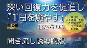 望月俊孝 成功の黄金法則 DVD 動画セミナー 非売品